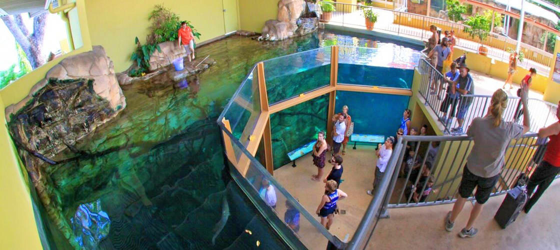 Crocosaurus Cove General Admission Tickets - General Admission