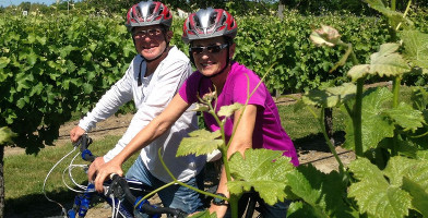 Full Day Deluxe Guided Biking Wine Tour