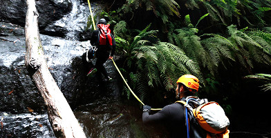 South Coast Canyoning - Rainforest Canyon