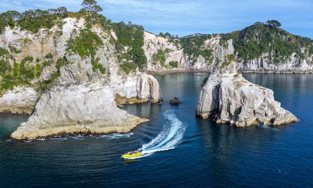 Cathedral Cove Boat Tour