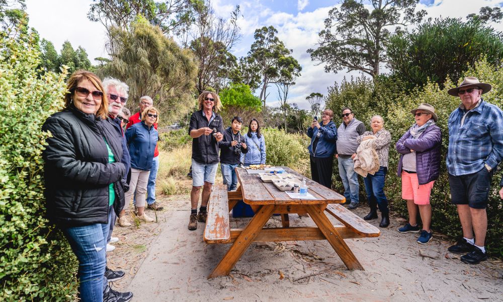 Bruny Island Sightseeing and Lighthouse Tour with Lunch