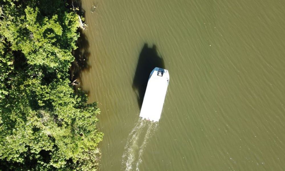 Daintree River Cruise - 1 Hour - 8:15am Cruise