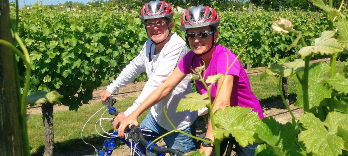 Standard Guided Biking Wine Tour