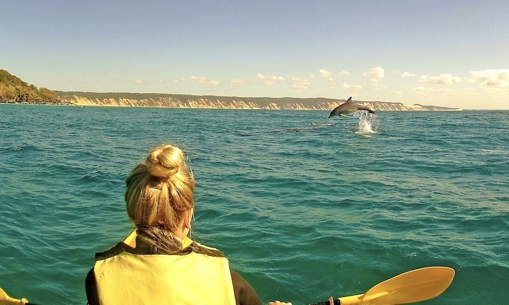 Rainbow Beach Dolphin Kayak & 4WD Beach Drive Adventure