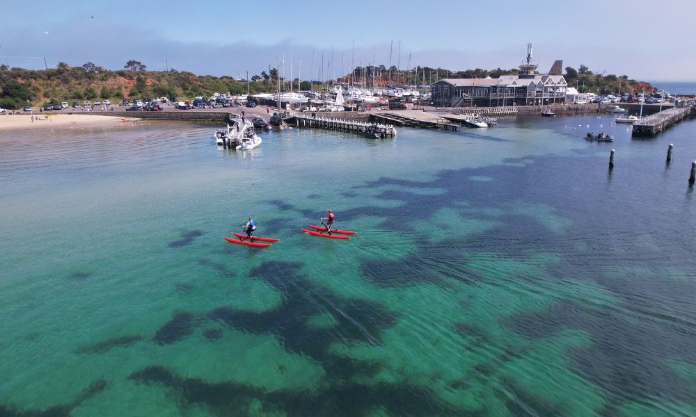 Mornington Waterbike Tour - 90 Minutes