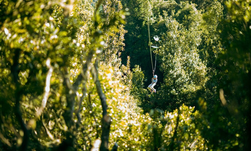 Okere Zip Line and Lake Rotoiti Hotpool Combo