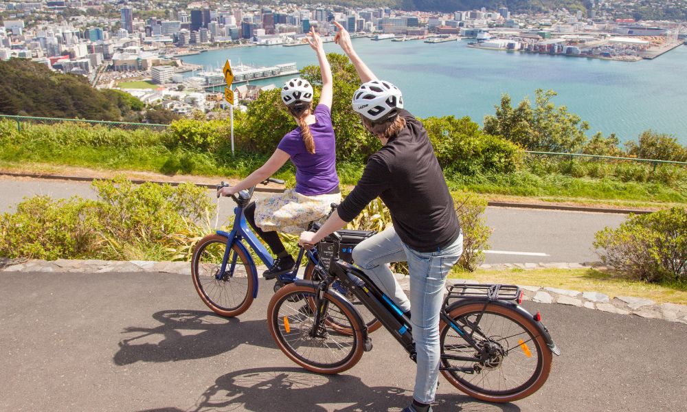 Electric Bays Tour - Guided Wellington Electric Bike Tour
