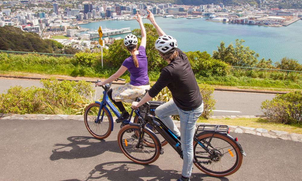 Electric Bays Tour - Guided Wellington Electric Bike Tour - 10am Session