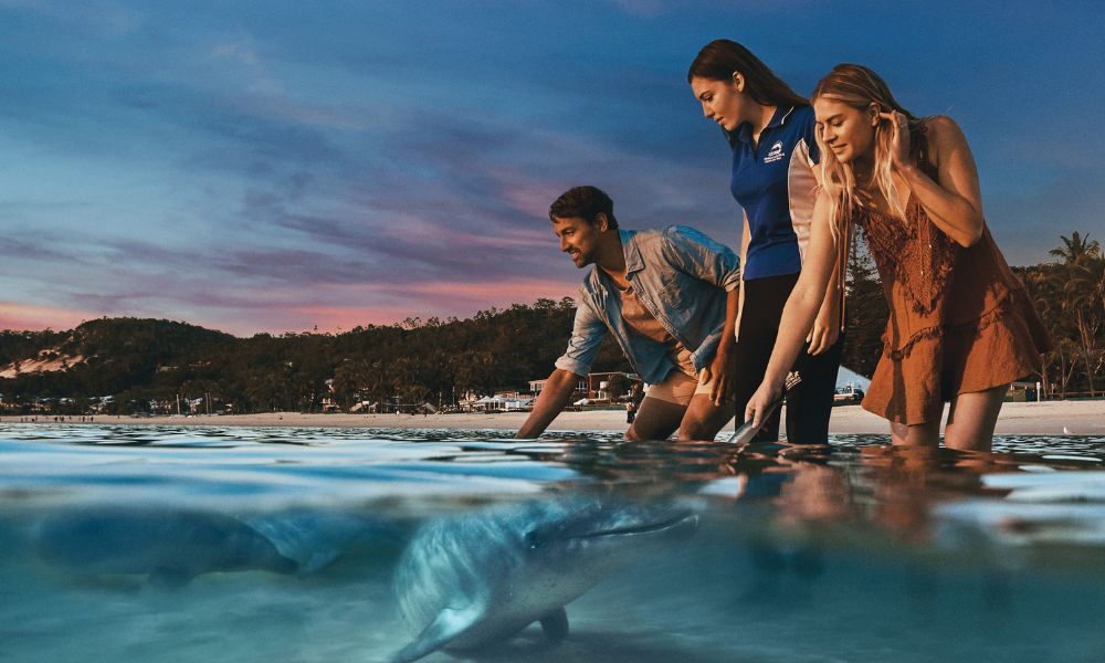 Tangalooma Island Resort Day Cruise, Dolphin Feeding and Desert Safari Tour