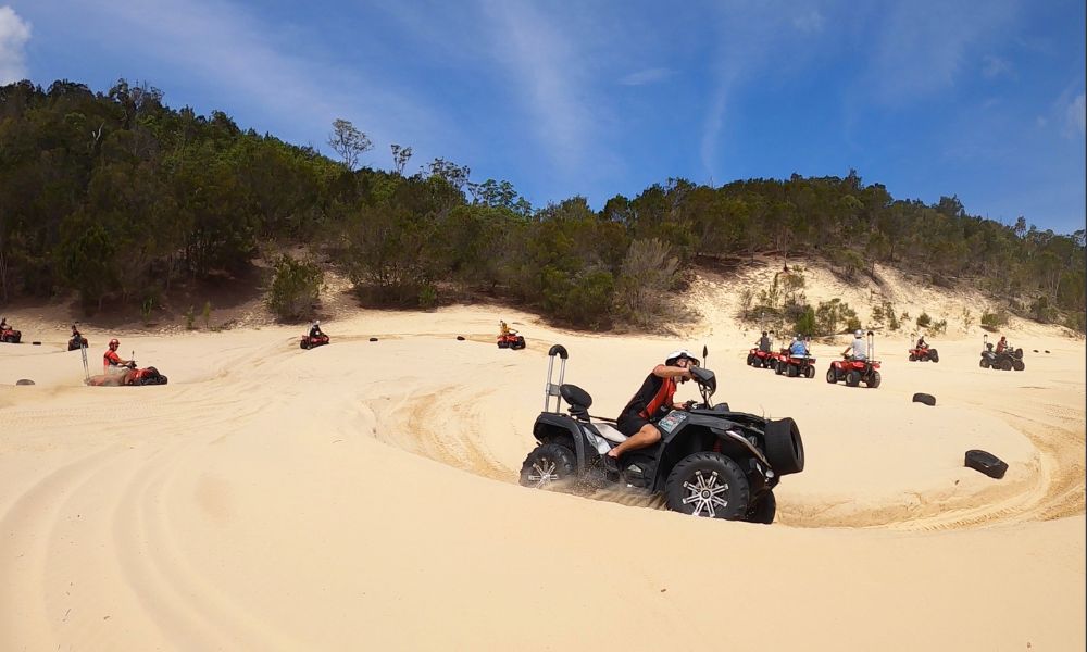 Tangalooma Island Resort Day Cruise, Dolphin Feeding and Quad Bike Tour