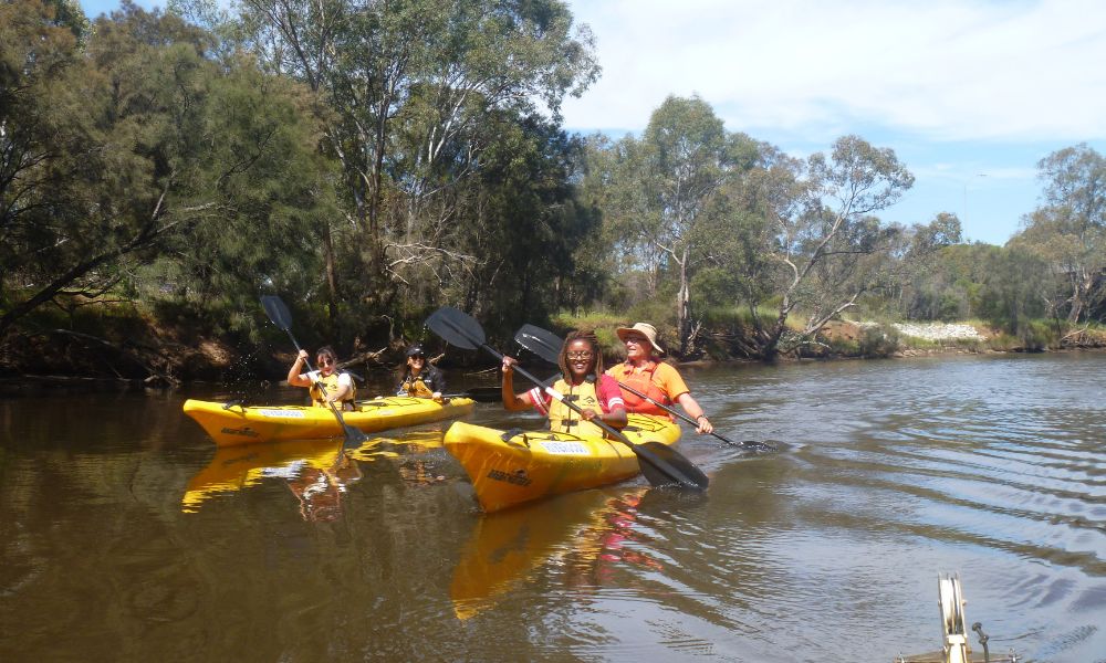 Swan River Guided Kayak Tour - Half Day