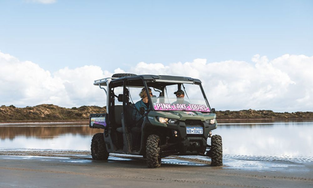 Hutt Lagoon Pink Lake Guided Buggy Tour - 60 Minutes