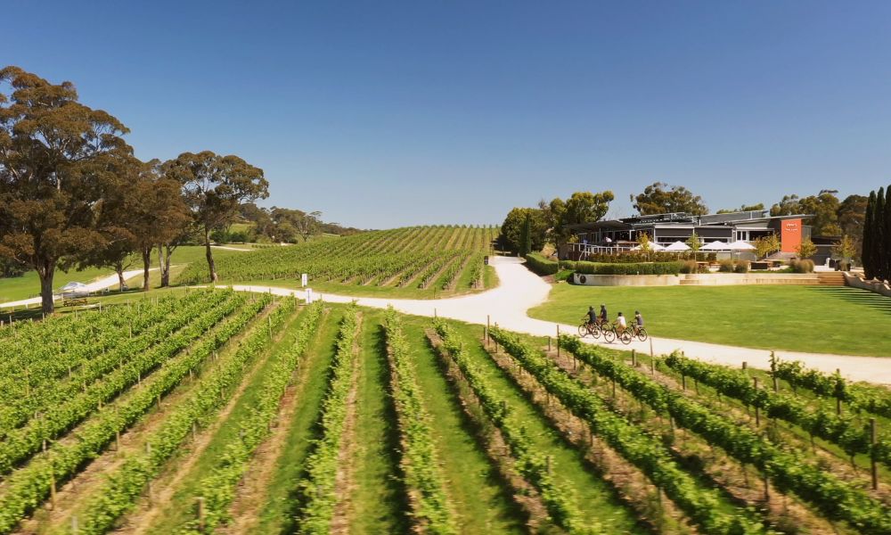 Hahndorf Guided Food and Wine E-Bike Tour - Full Day