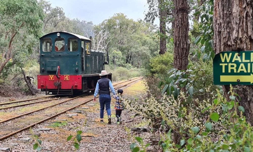 Dwellingup Hike and Train Ride with Pizza  - 6 Hours