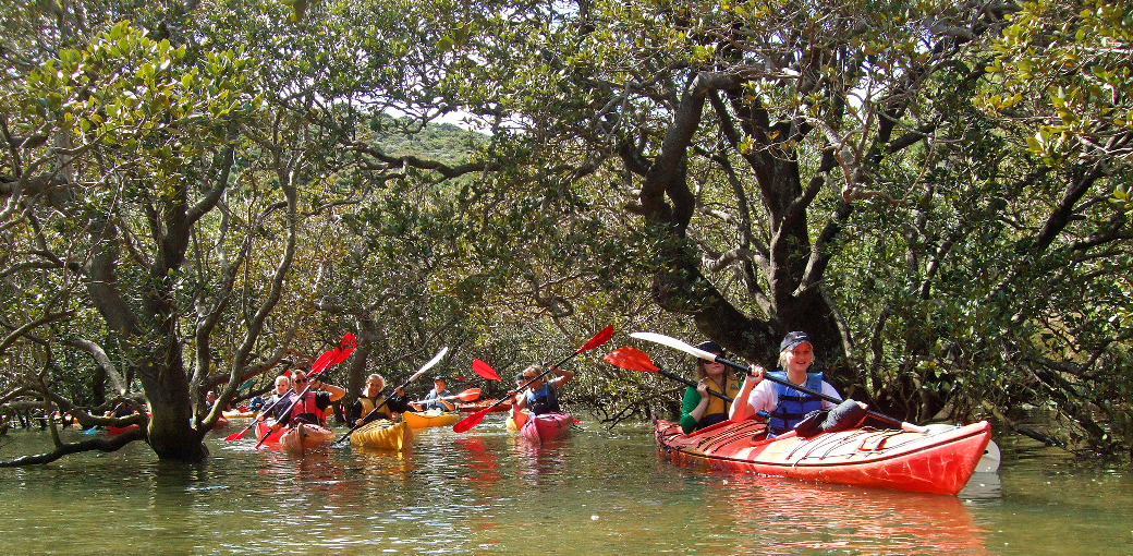 Bay of Islands Half Day Guided Tour