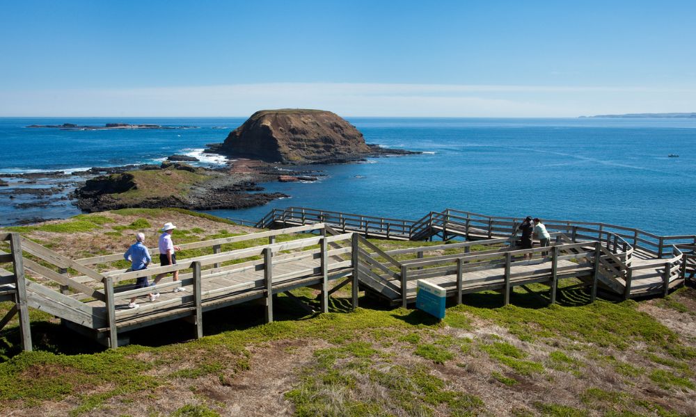 Phillip Island Express Tour From Melbourne 