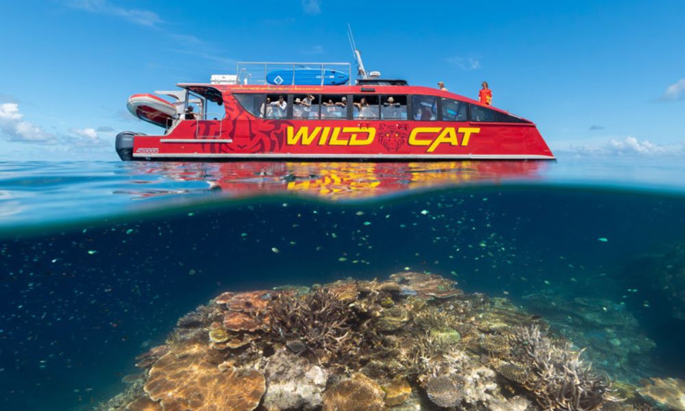 Outer Great Barrier Reef Snorkel Adventure From Airlie Beach