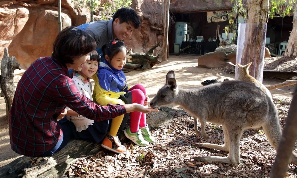 Wild Life Sydney Zoo Adults at Kids Prices