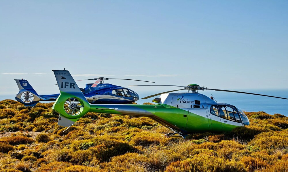 Kaikoura Premier Whale Watching Helicopter Flight - 1 Hour