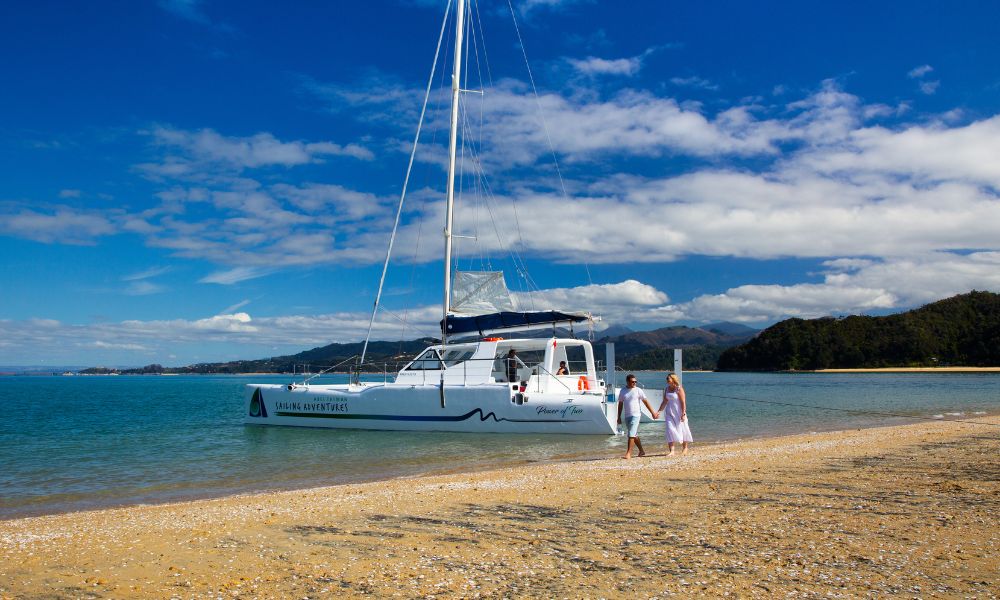 Cruise, Walk, Seals and Sail