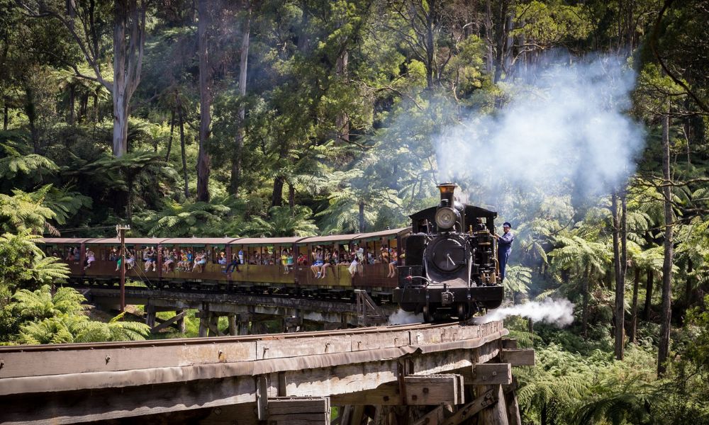 Puffing Billy & Wildlife Tour from Melbourne