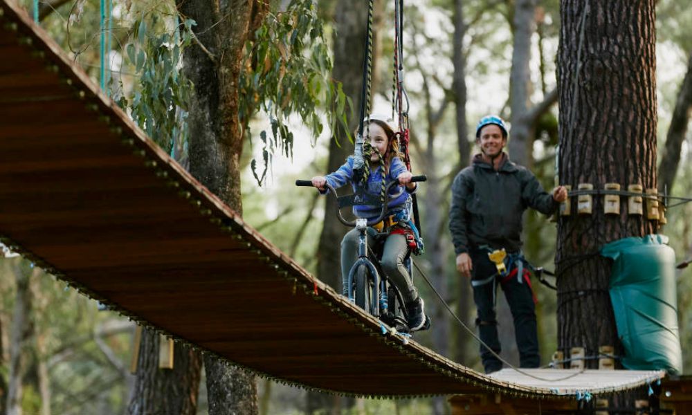 Forest Adventures High Ropes Course and West Park Entry