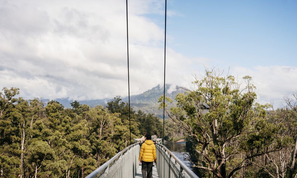 Hastings Caves, Thermal spring-fed pool and Tahune AirWalk Tour