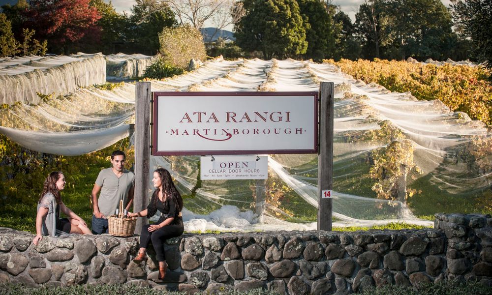 Half Day Martinborough Winery Tour