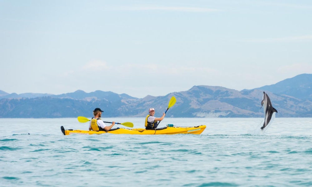 Kaikoura Sea Kayak Hire For 2 - 4 Hours