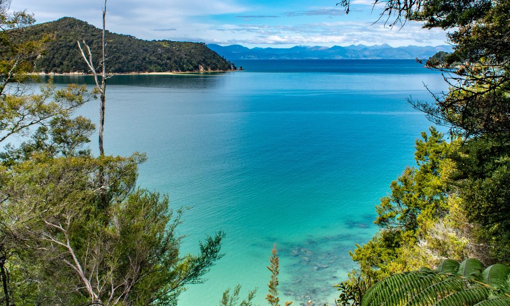 Full Day Remote Marine Reserve Kayak Adventure