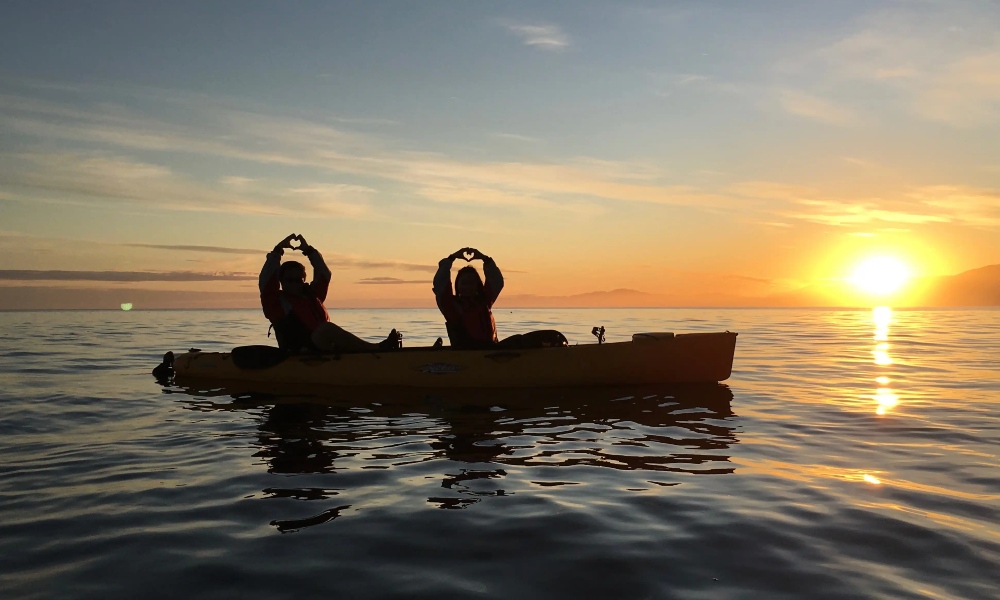 Kaikoura Sunset Kayak Pedal Tour - 3 Hours