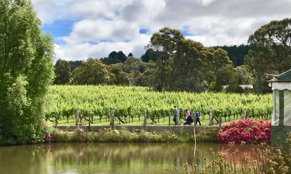 Gisborne Peak Winery 3 Course Lunch & Glass of Wine - For 2