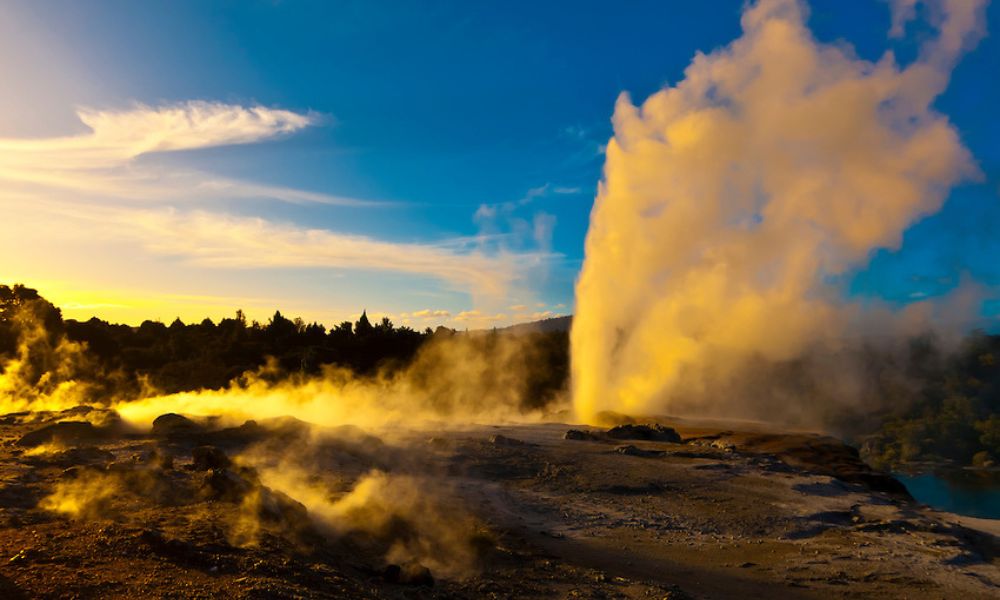 Rotorua Guided Tour at Te Puia - 90 Minutes