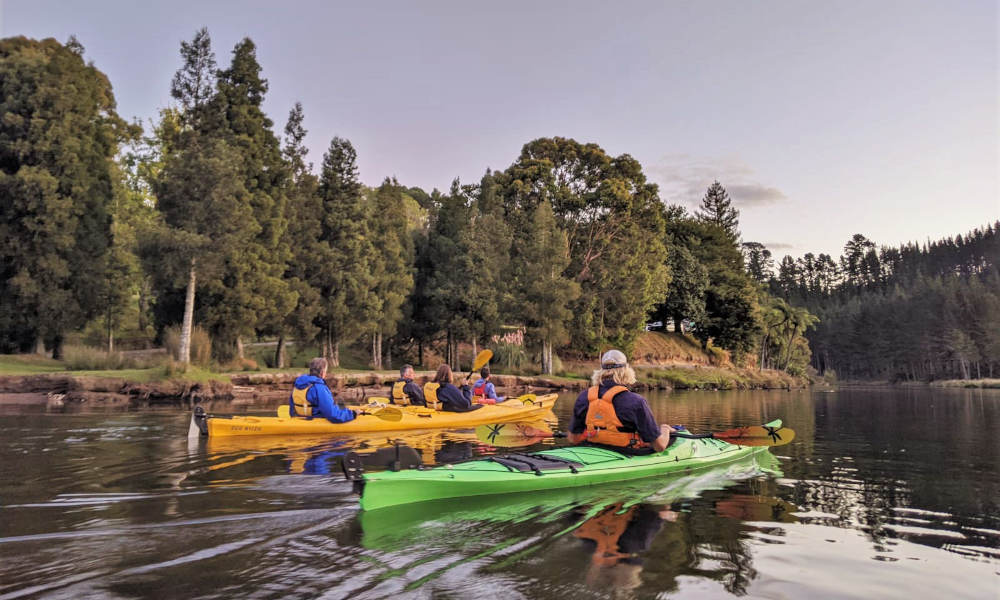 Tauranga Evening Glowworm Kayak Tour