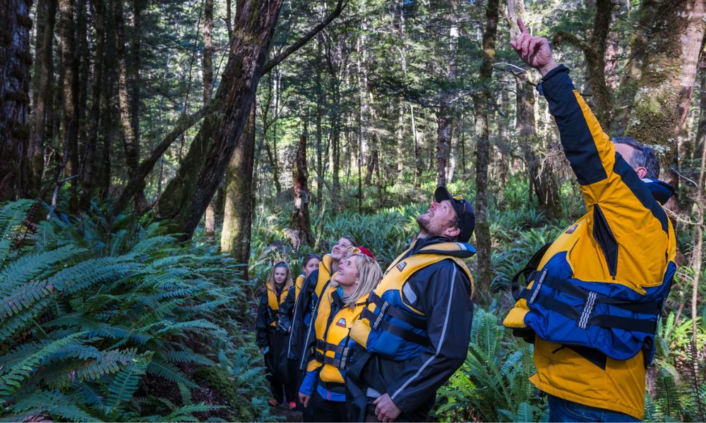 Pure Wilderness Jet Boat Ride - 90 Minute