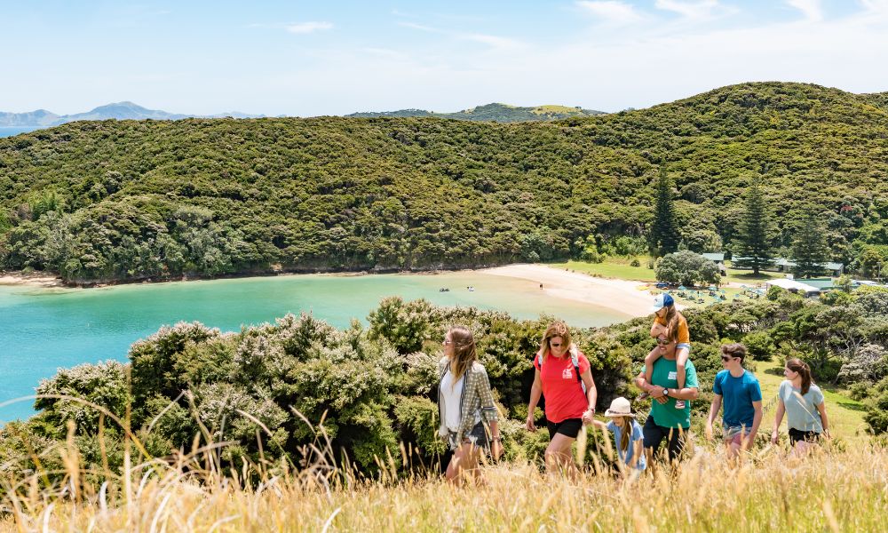 Discover the Bay Hole in the Rock Half Day Tour