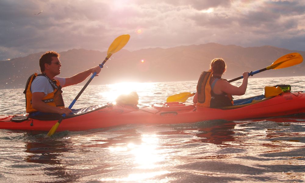 Kaikoura Sunset Evening Classic Kayaking Tour - 3 Hours