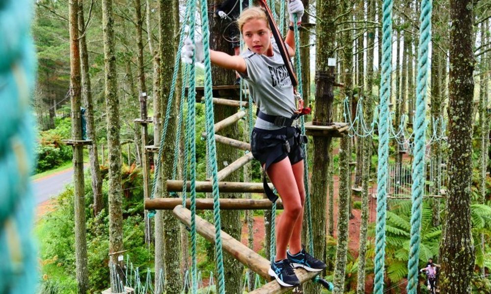 Auckland High Ropes and Ziplining Adventure - 3 Hours