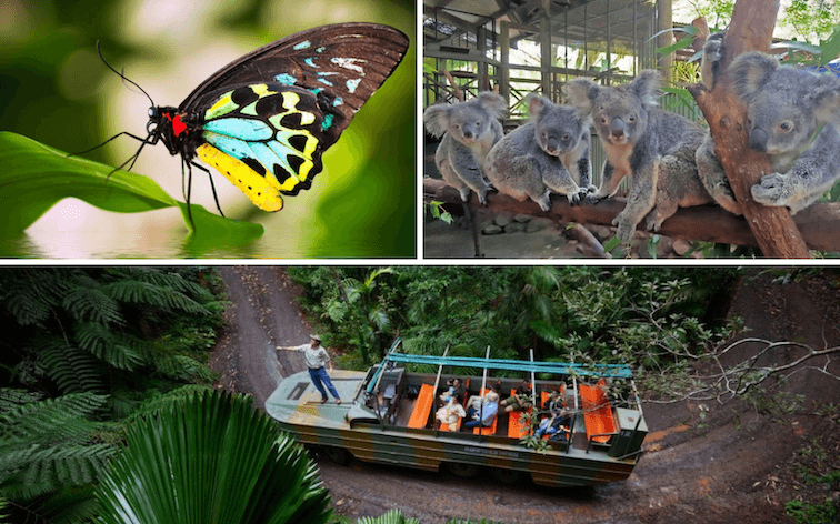 Cairns 4 Park Attraction Pass 