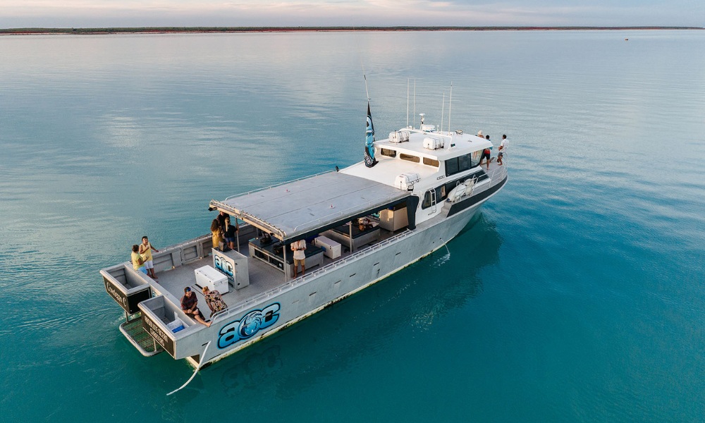 Sunset Coastal Cruise with Snubfin Dolphins from Broome