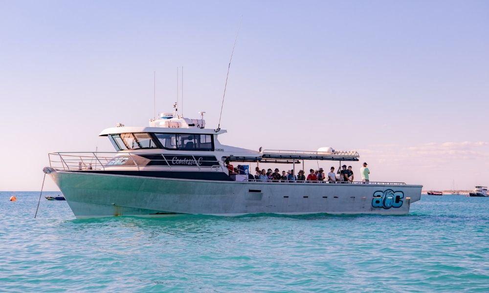 Reef Fishing Charters - Full Day