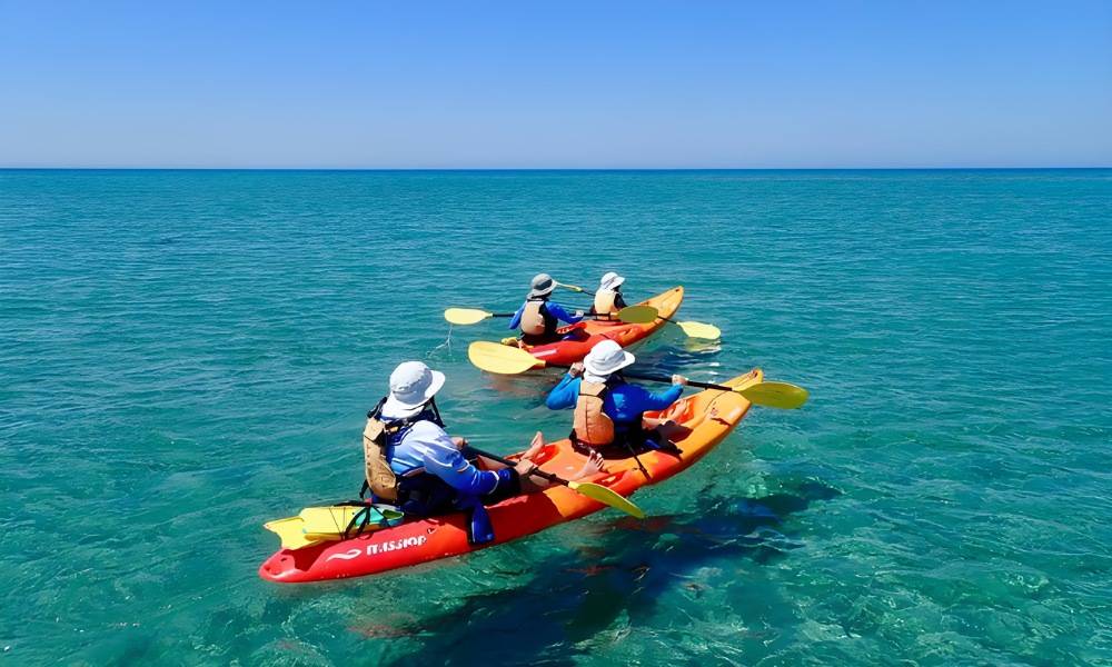 Ningaloo Reef Turtle, Kayak and Snorkel Half Day Tour