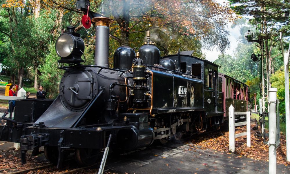 Puffing Billy And Phillip Island Penguin Parade Day Tour from Melbourne