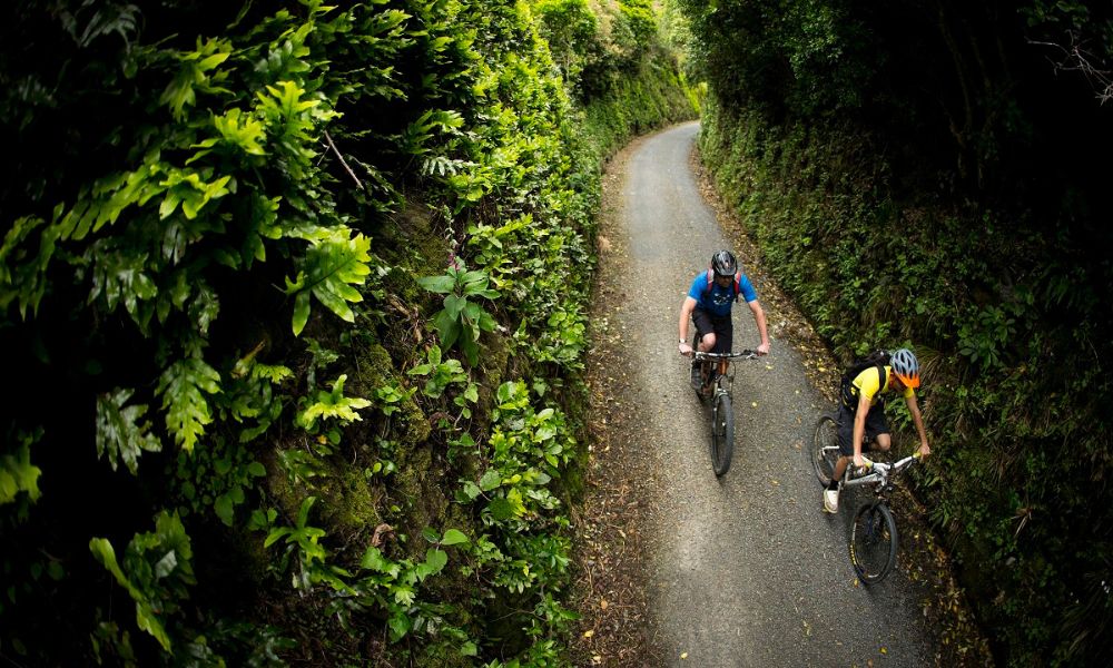 Hutt River Trail eBike Explorer