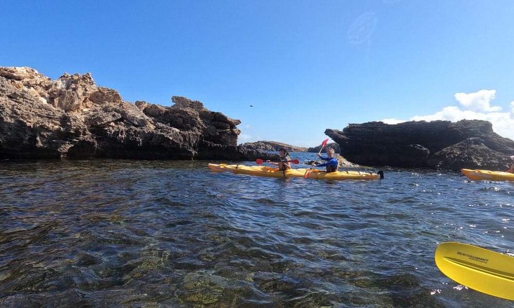 Perth Penguin and Seal Islands Sea Kayak Tour - 6 Hours