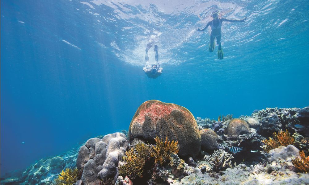 Great Keppel Island Day Trip Including Lunch & Snorkel Hire