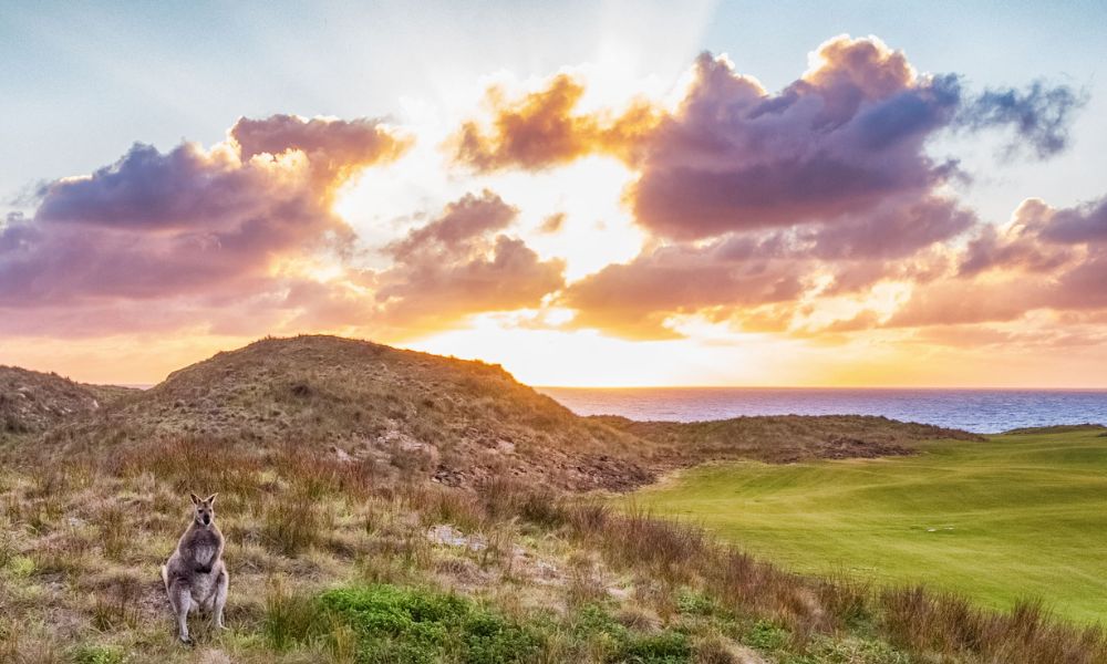 2 Night Stay & Play Experience at Cape Wickham Golf Links - For 2