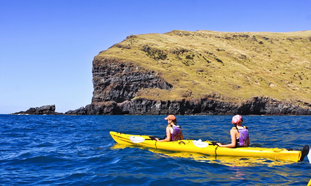 Half Day Sea Kayaking Safari