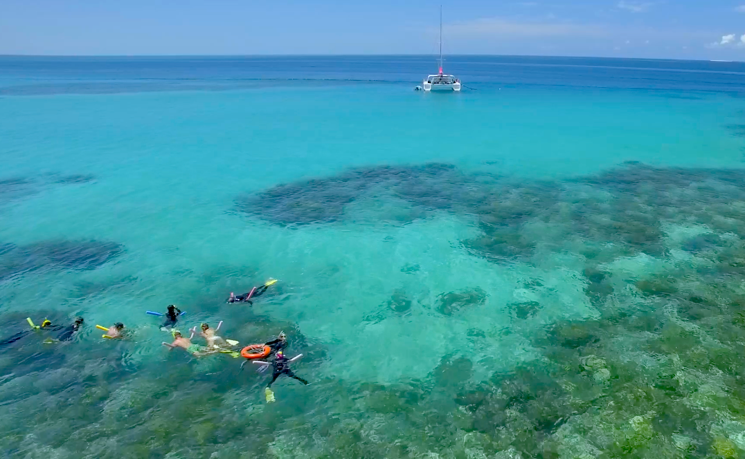 Great Barrier Reef Snorkel and Sailing Cruise - Full Day
