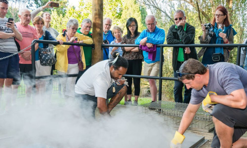 Waitangi Treaty Grounds Hangi Dinner and Concert with Admission